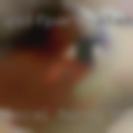 Local horny house wives 77461